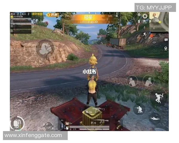 从零起步到巅峰之路:和平精英比赛全方位经验分享与攻略指南 从零起步到巅峰之路:和平精英比赛全方位经验分享与攻略指南