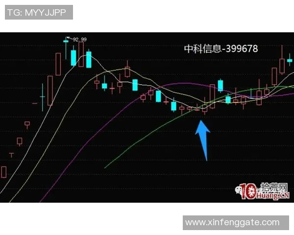 上海排球队个人能力分析与战术配合的深度探讨