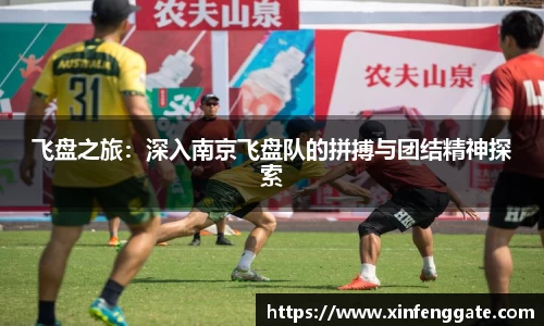 飞盘之旅：深入南京飞盘队的拼搏与团结精神探索