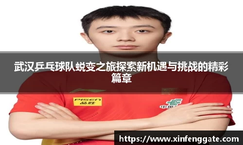 武汉乒乓球队蜕变之旅探索新机遇与挑战的精彩篇章